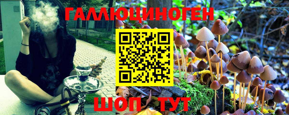 Псилоцибиновые грибы MAGIC MUSHROOMS Алушта